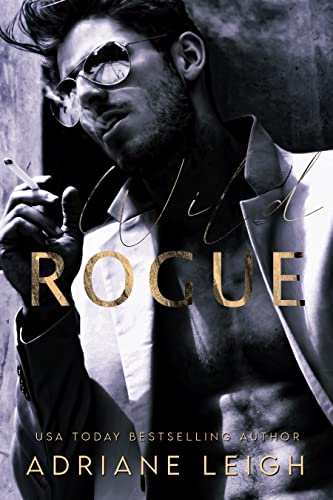 Rogue book cover
