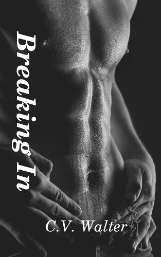 Breaking In book cover