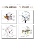 Surgical Anatomy Of The Head And Neck English Edition