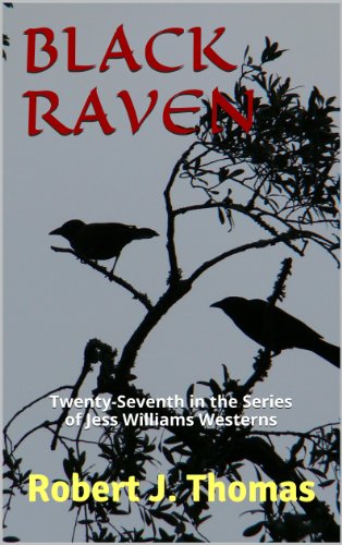 Black Raven book cover