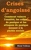 Crises Dangoisse Comment Vaincre Lanxit Les Crises De Panique Et Les Attaques De Panique Menant La Phobie Sociale