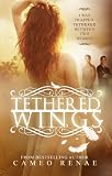 Tethered Wings Hidden Wings Series Book Three