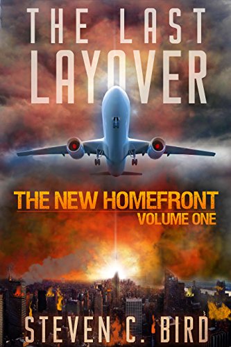 The Last Layover book cover