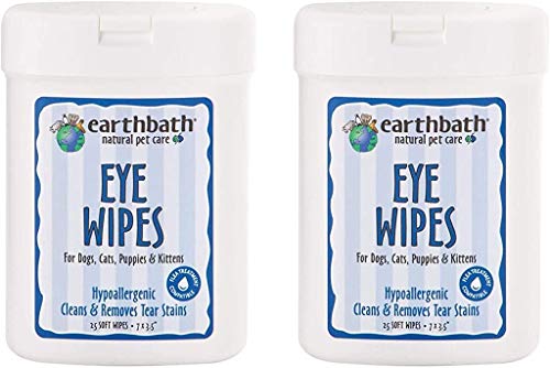 Best Dog Eye Wipes for Tear Stains & Gunk in 2026