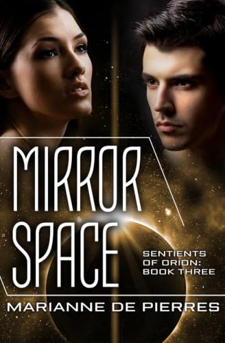Mirror Space book cover