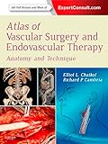 Atlas Of Vascular Surgery And Endovascular Therapy Ebook Anatomy And Technique English Edition