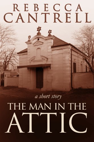 The Man in the Attic book cover