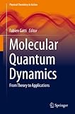 Molecular Quantum Dynamics From Theory To Applications Physical Chemistry In Action English Edition