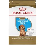 Royal Canin Breed Health Nutrition Dachshund Puppy Dry Dog Food, 2.5 lb Bag