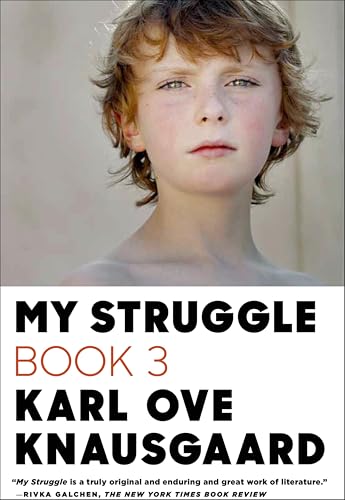 My Struggle: Book 3 cover
