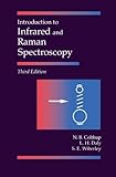 Introduction To Infrared And Raman Spectroscopy English Edition