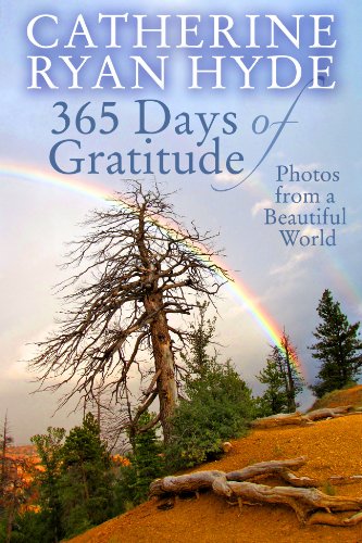 365 Days of Gratitude book cover