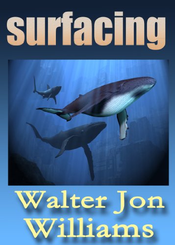 Surfacing book cover