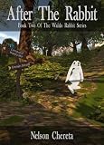 After The Rabbit Book Two Of The Waldo Rabbit Series English Edition