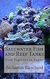 Saltwater Fish And Reef Tanks From Beginner To Expert English Edition