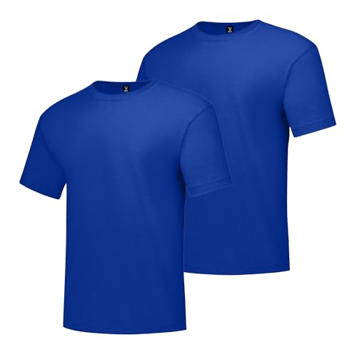 Hanes mens Beefy Short Sleeve Tee Value Pack (2-pack) (Availble in Tall) fashion t shirts, Deep Royal, X-Large Tall US