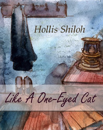 Like a One-Eyed Cat book cover