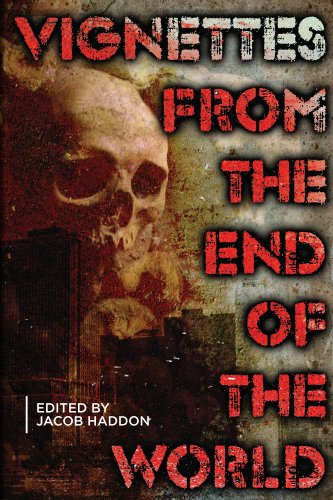 Vignettes from The End of the World book cover
