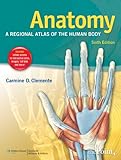 Anatomy A Regional Atlas Of The Human Body English Edition