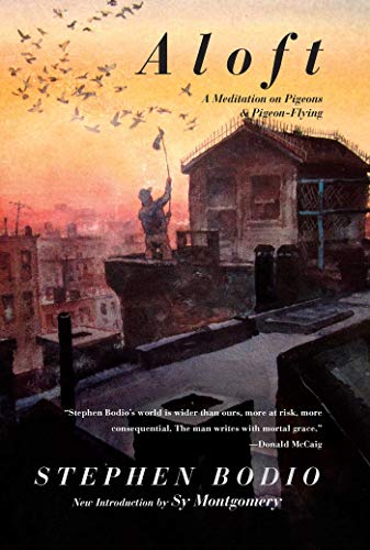 Aloft: A Meditation on Pigeons & Pigeon-Flying (With: Stephen Bodio) cover