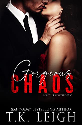 Gorgeous Chaos book cover