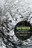 Bad Water Nature Pollution And Politics In Japan 18701950 Asiapacific Culture Politics And Society English Edition