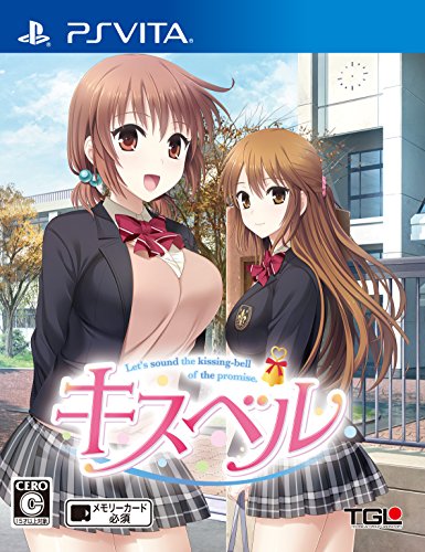 ゲーム会社テイジイエルで一番面白かったゲームを決める人気投票&ランキング 10位 キスベルの画像