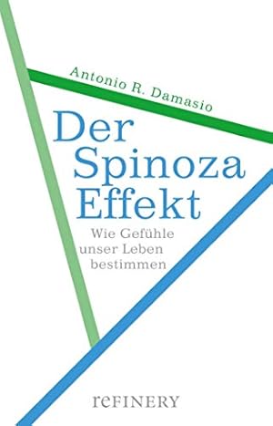 Das Gefühl des Schmerzes und die Suche nach Freude Antonio Damasio