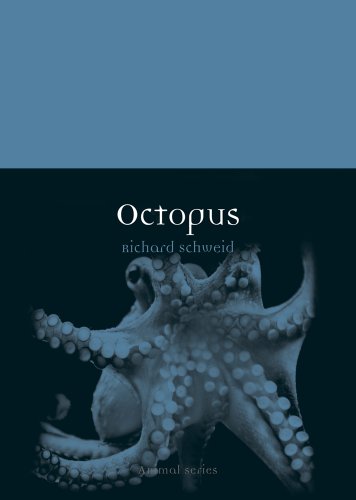 Octopus (By: Richard Schweid) cover