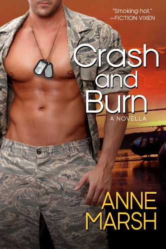 Crash and Burn book cover