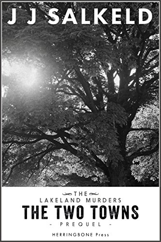 The Two Towns book cover