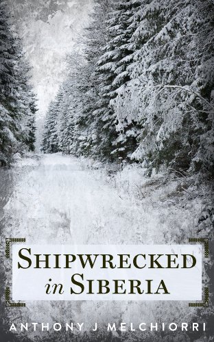 Shipwrecked in Siberia book cover