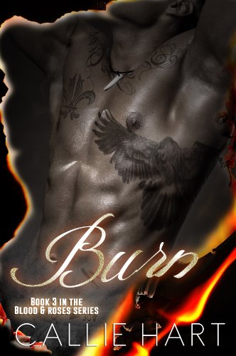 Burn book cover