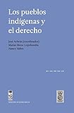 Los Pueblos Indgenas Y El Derecho Spanish Edition