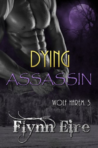Dying Assassin book cover