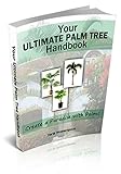 Your Ultimate Palm Tree Handbook Create A Paradise With Palms