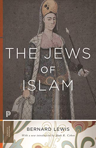 The Jews of Islam book cover