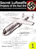 Secret Luftwaffe Projects Of The Nazi Era From Arado To Zeppelin With Contemporary Drawings English Edition