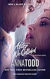 After We Collided The After Series Book 2 English Edition