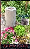 Vertical Brick Oven Almost The Same As The Tandoor Oven Only Which Is Made Of Bricks English Edition