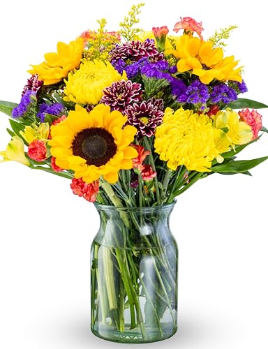 Benchmark Bouquets - Flowering Fields (Glass Vase Included) - Fresh Flowers for Delivery - Gift for Graduation, Birthday, Anniversary, Sympathy, Get Well, Congratulations