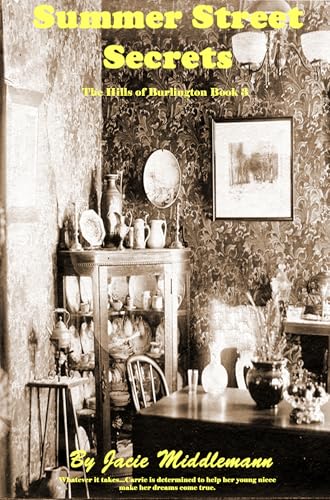 Summer Street Secrets book cover