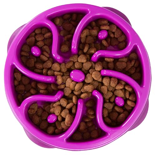 Outward Hound Medium Slow Feeder Bowl Puzzle Maze Fast Eaters 2 Cups