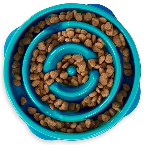 Outward Hound Fun Feeder Slo Bowl Large Blue