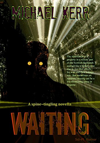 Waiting book cover