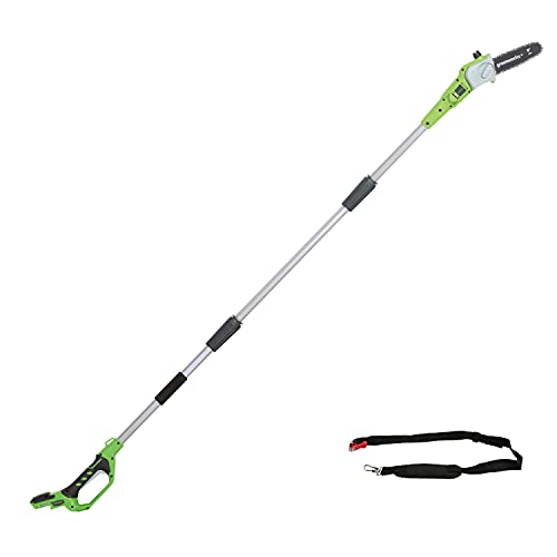 Greenworks 2000107