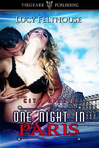 One Night in Paris book cover