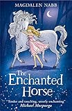 The Enchanted Horse English Edition