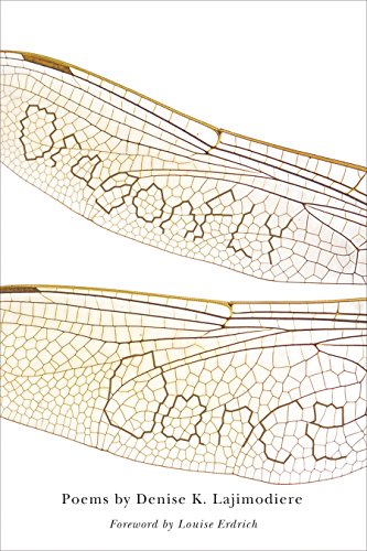 Dragonfly Dance (By: Denise K. Lajimodiere) cover