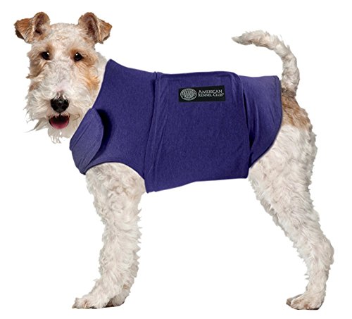 AKC Calming Coat for Dogs